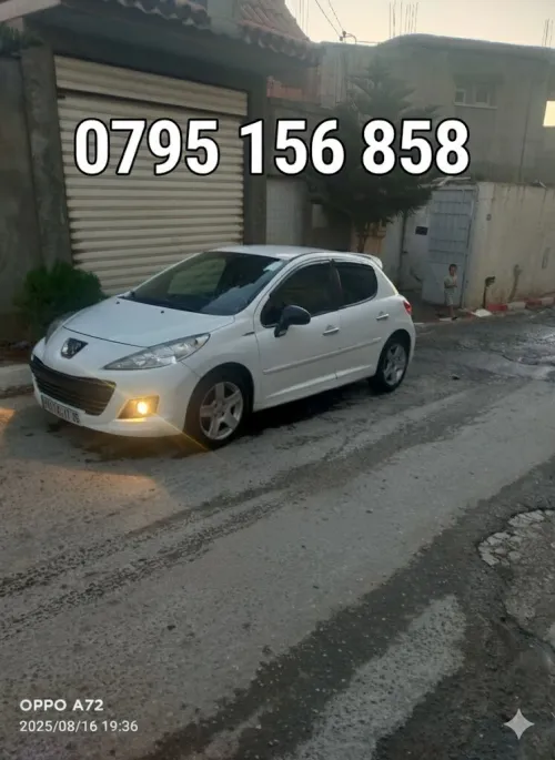 Peugeot 207 2011 1.4 sample