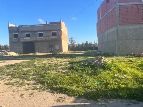 Vente Terrain Mostaganem Hassi maameche