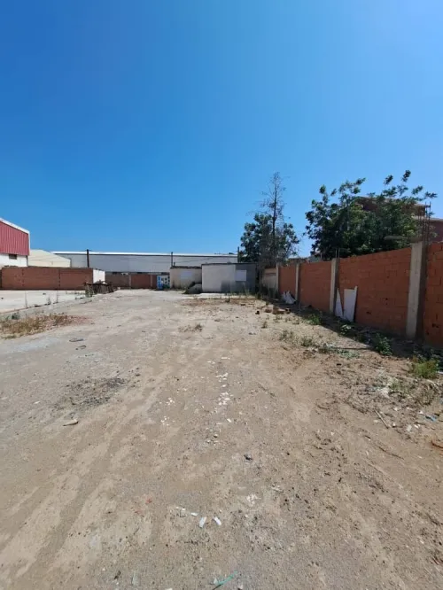 Location Terrain Boumerdès Hammedi