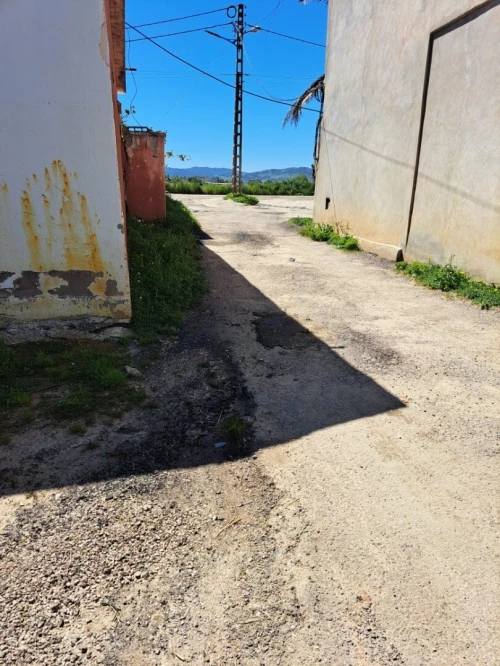 Vente Terrain Boumerdès Ouled moussa