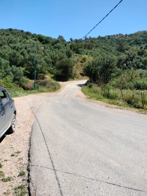 Vente Terrain Boumerdès Bouzegza keddara