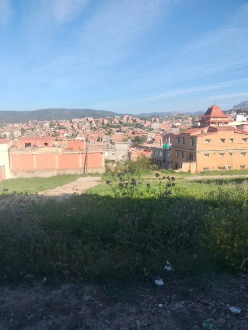 Vente Terrain Boumerdès Ouled moussa