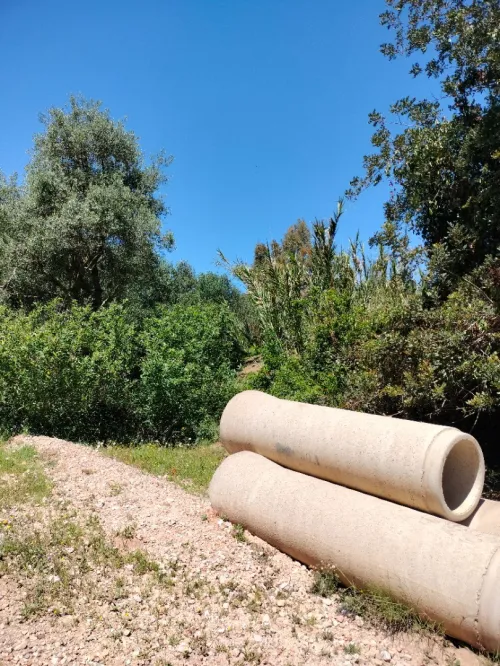 Vente Terrain Boumerdès Bouzegza keddara