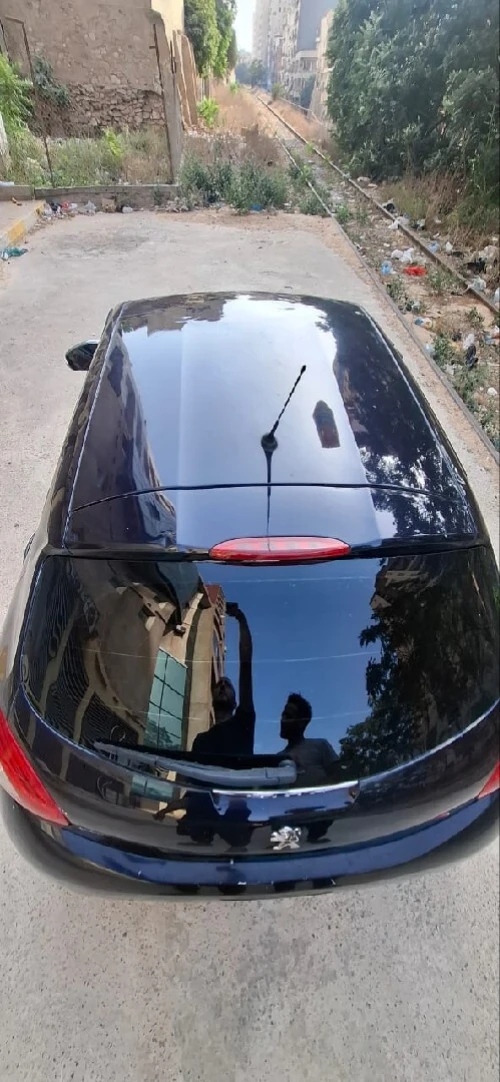Peugeot 208 2015 Active 10