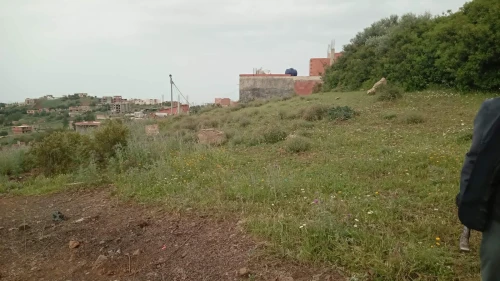 Vente Terrain Boumerdès Larbatache