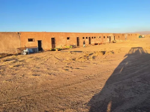 Vente Terrain Agricole Laghouat Tadjemout