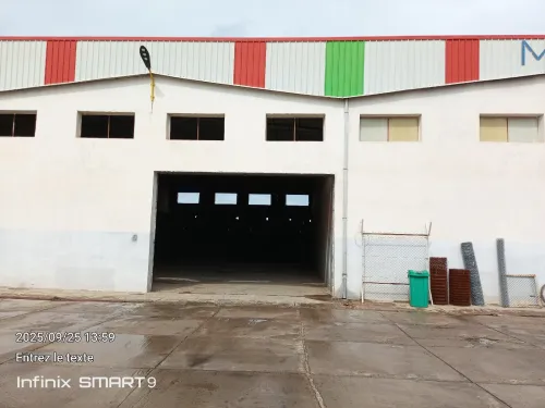 Location Hangar - Usine Alger El harrach