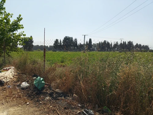 Vente Terrain Boumerdès Khemis el khechna 3