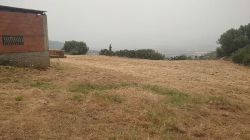Vente Terrain Tizi Ouzou Boudjima