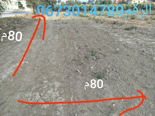 Vente Terrain Blida Larbaa