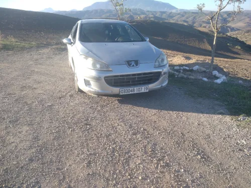 Peugeot 407 2007 407