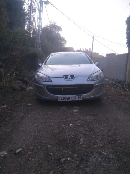 Peugeot 407 2007 407