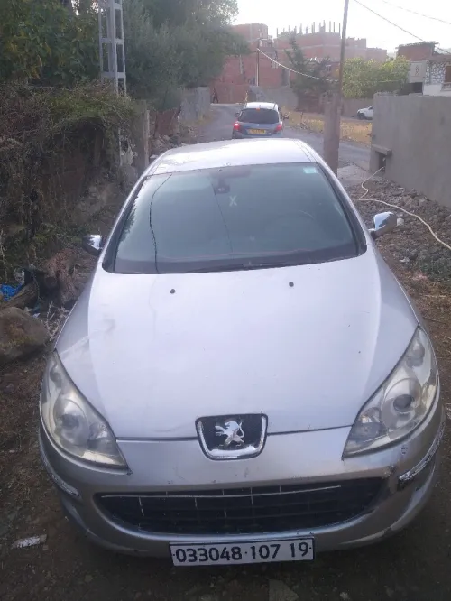 Peugeot 407 2007 407