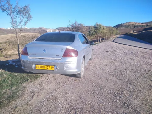 Peugeot 407 2007 407