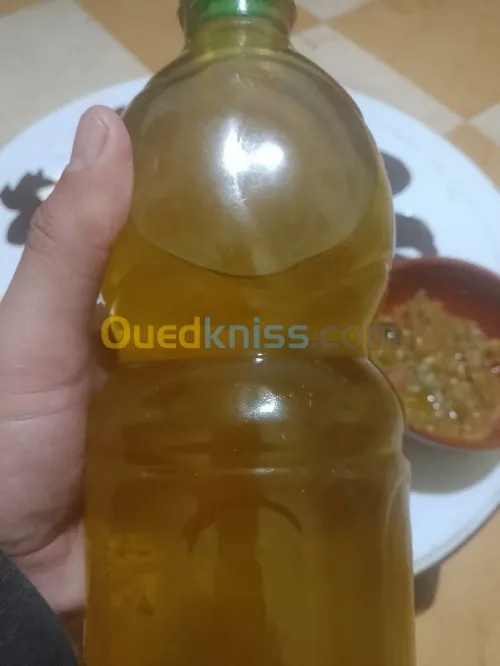 زيت زيتون بكر للبيع