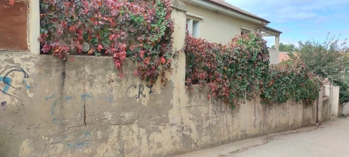 Vente Villa Médéa Medea