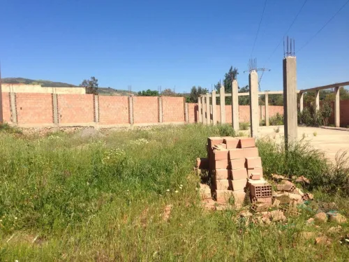 Location Terrain Aïn Defla Ain soltane