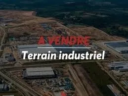 Vente Terrain Oran Oran
