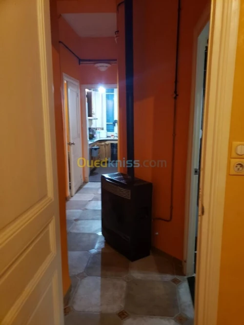 Location Appartement F3 Alger Alger centre