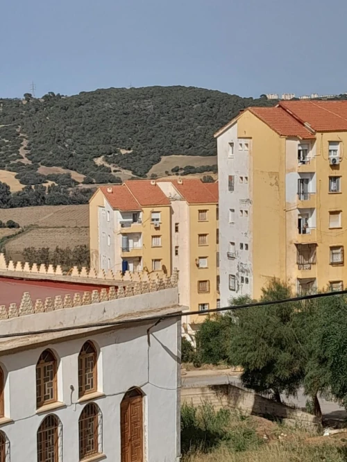 Vente Appartement F3 Tipaza Douaouda