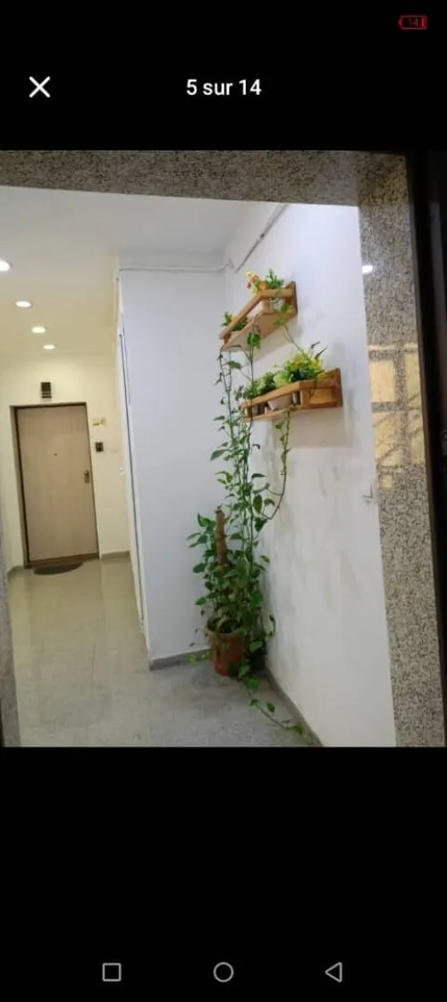 Location Appartement F4 Alger Hydra