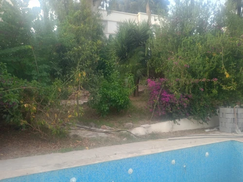 Location Villa Alger Hydra