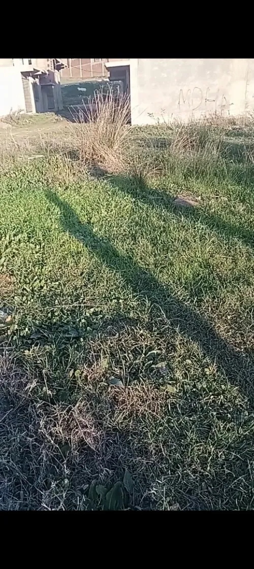 Vente Terrain Boumerdès Ouled moussa