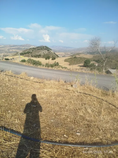 Vente Terrain Sétif Ain el kebira