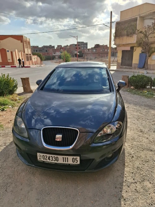 Seat Leon 2011 Fully