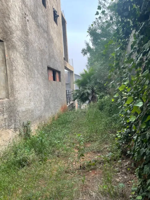 Vente Carcasse Alger Saoula