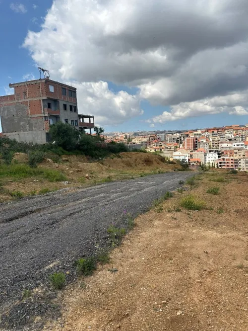 Vente Terrain Alger Saoula