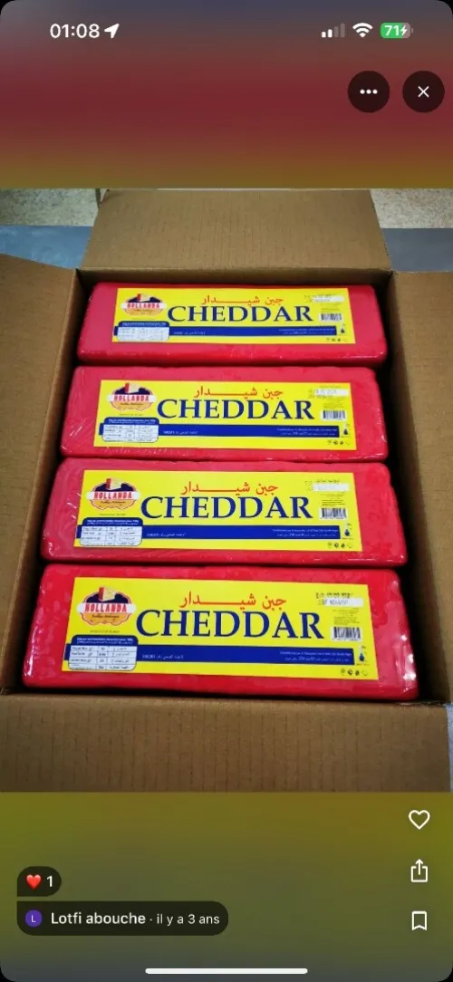 Fromage hollanda