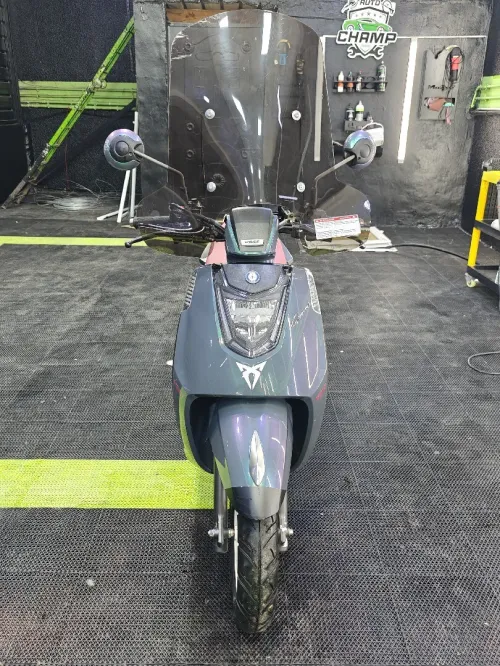 Vms Gemma 2025
