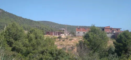 Vente Terrain Tipaza Cherchell