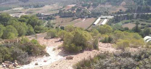 Vente Terrain Tipaza Cherchell