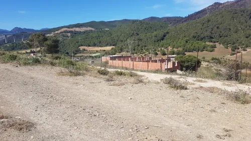 Vente Terrain Tipaza Cherchell