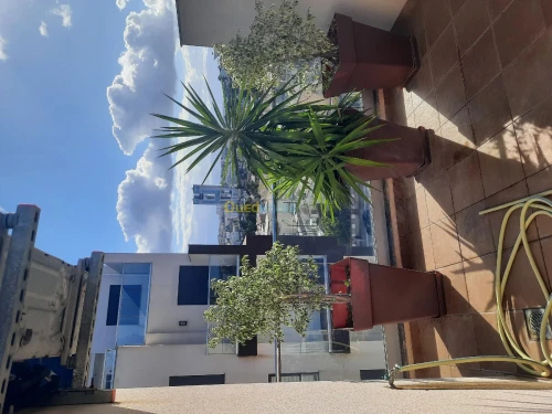 Vente Appartement Duplex F4 Alger Dely brahim