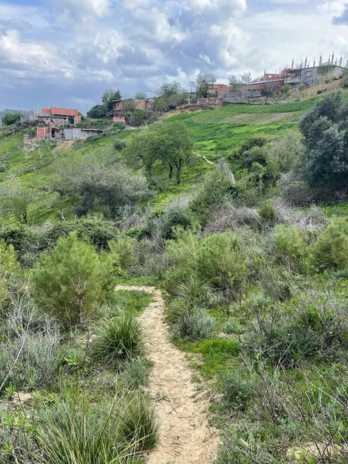 Vente Terrain Tipaza Sidi amar