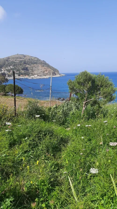 Vente Terrain Annaba Chetaibi