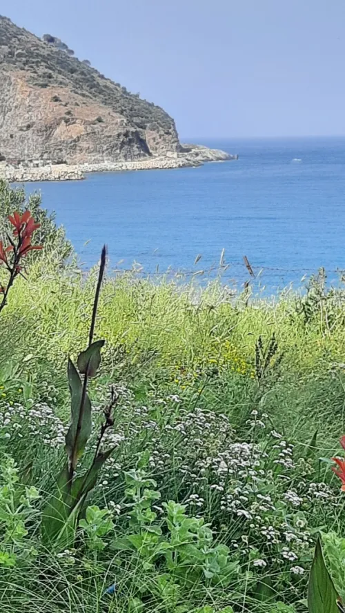 Vente Terrain Annaba Chetaibi