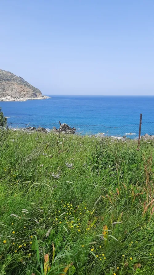 Vente Terrain Annaba Chetaibi