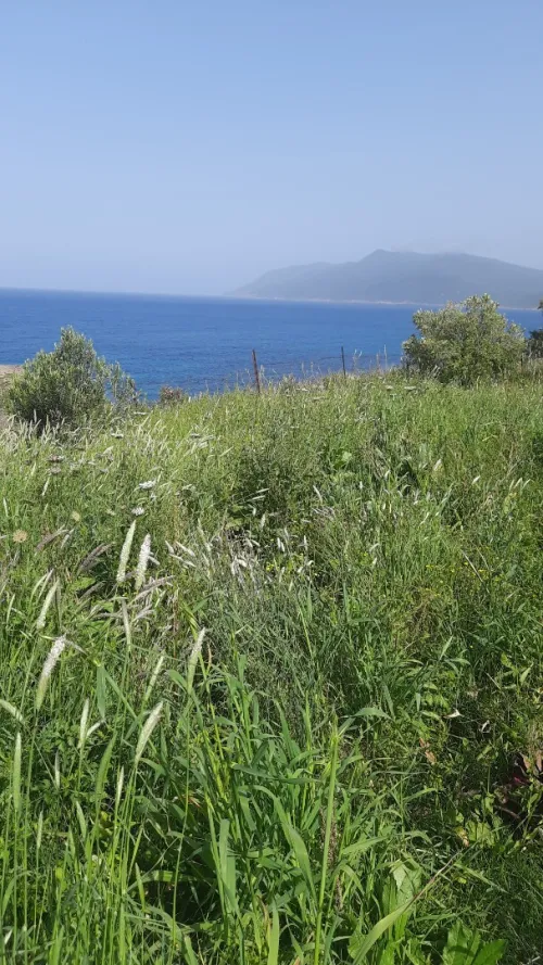 Vente Terrain Annaba Chetaibi