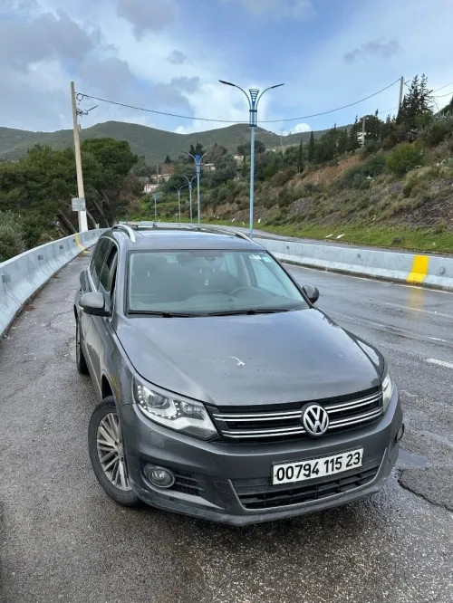 Volkswagen Tiguan 2015 CUP