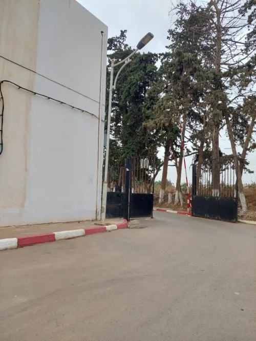 Vente Appartement F3 Tipaza Kolea