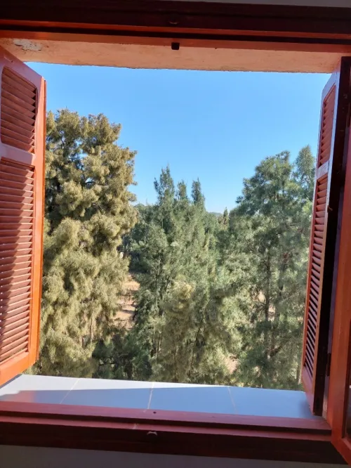Vente Appartement F3 Tipaza Kolea
