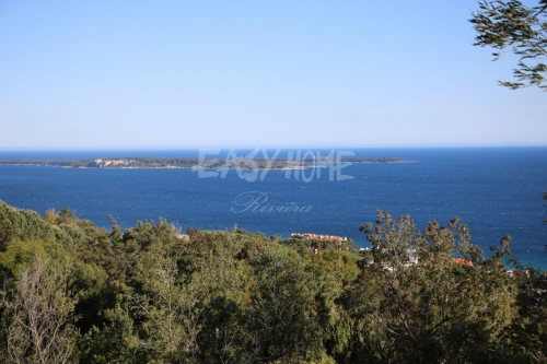 Vente Terrain Boumerdes Djinet