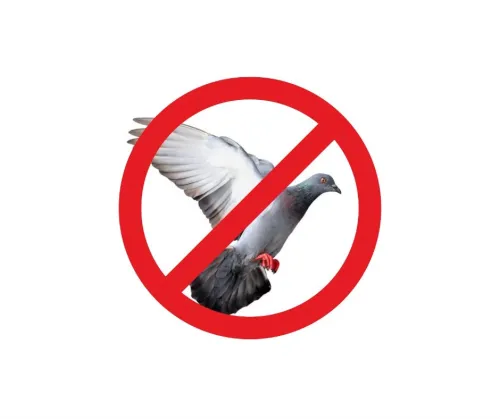 Filet anti pigeons français ORIGINAL par rouleau 100 mètres carrés 