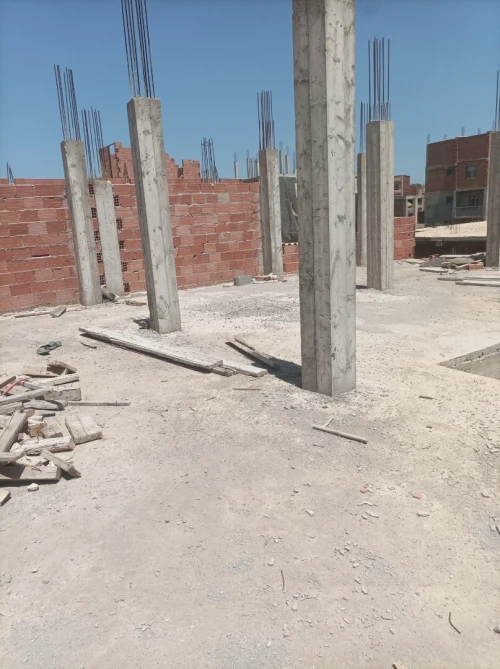 Vente bien immobilier Alger Les eucalyptus