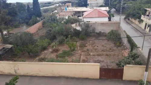 Vente Terrain Chlef Beni haoua