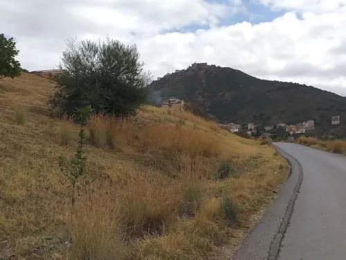 Vente Terrain Tizi Ouzou Tizi rached